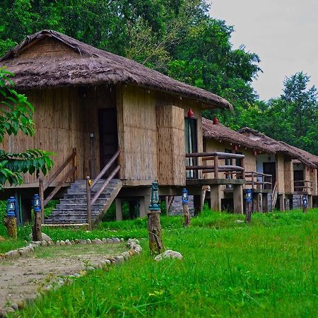 Temple Tiger Green Jungle Resort Kawasoti 部屋 写真