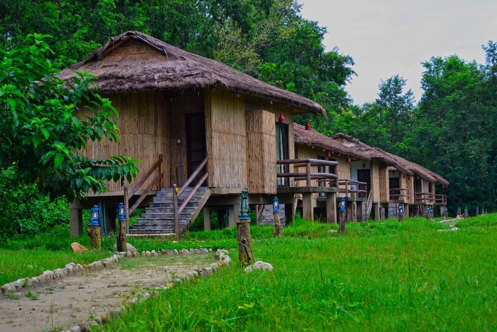 Temple Tiger Green Jungle Resort Kawasoti 部屋 写真