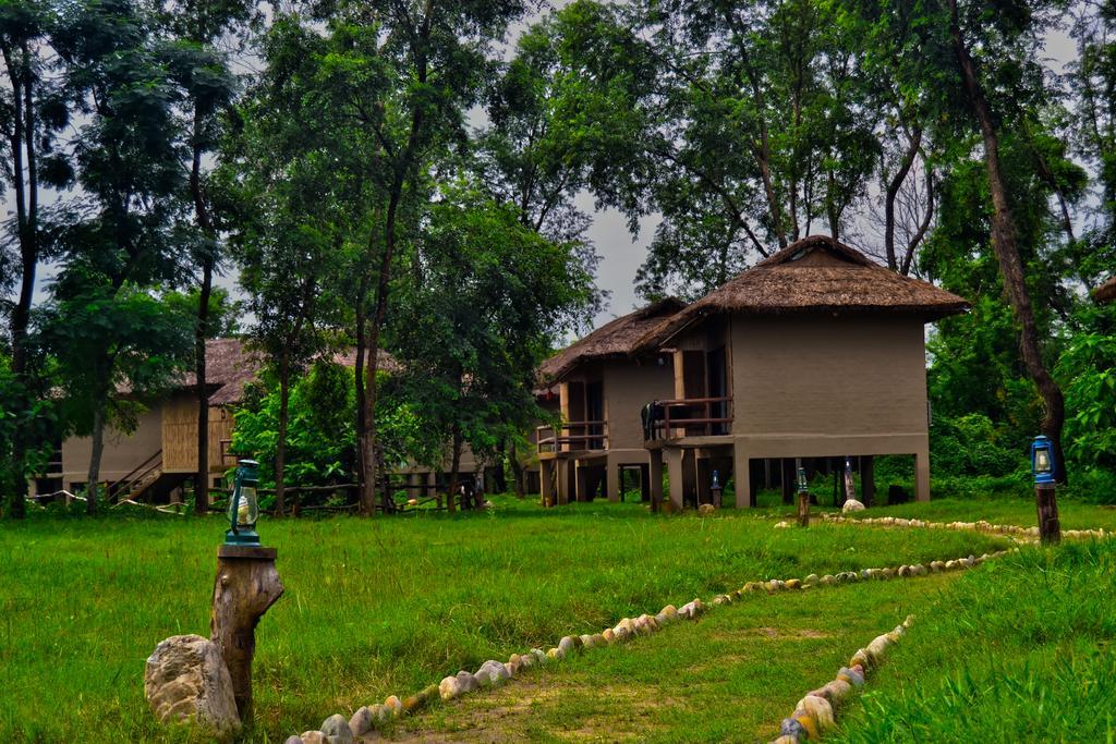 Temple Tiger Green Jungle Resort Kawasoti エクステリア 写真